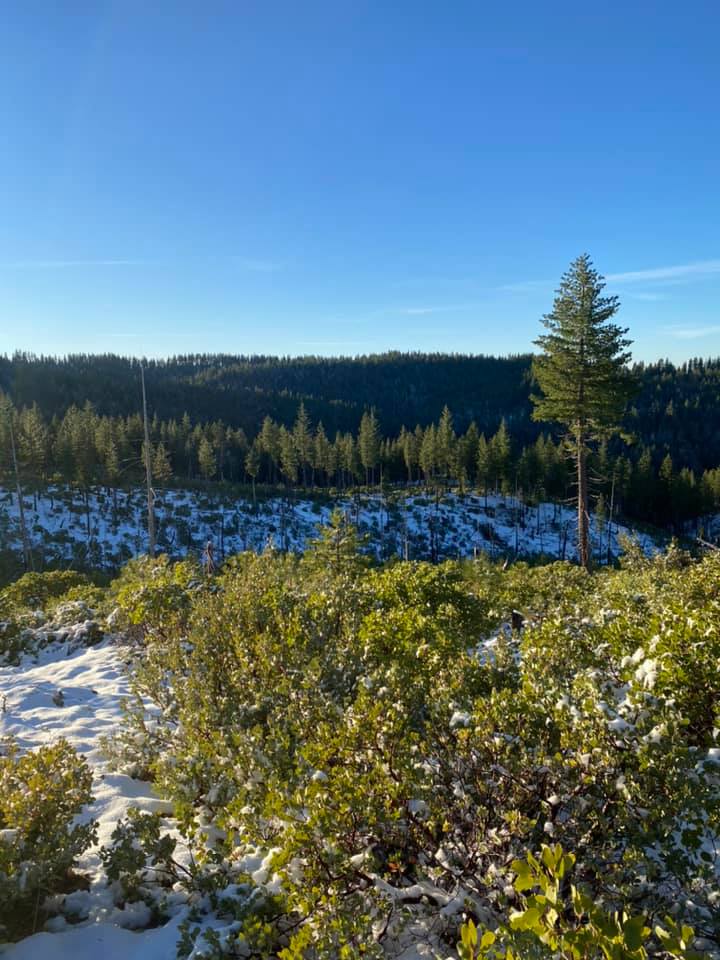 Forlorn Hope Expedition, 12-18-20, photo by Elke Reimer.